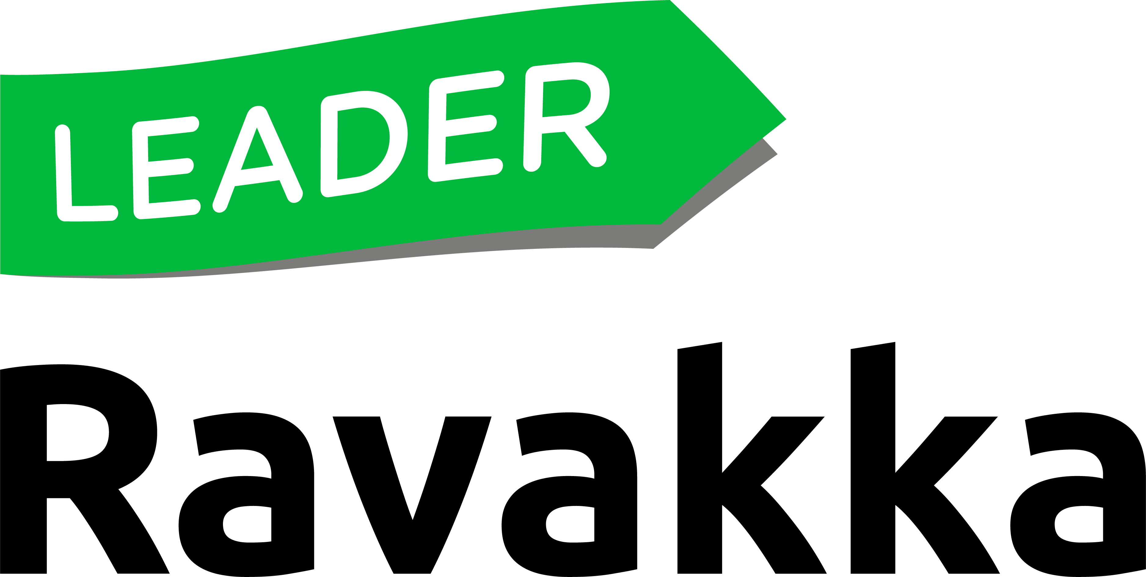 Leader logo